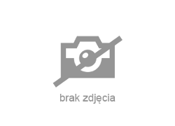 Renault Clio - zobacz ofertę